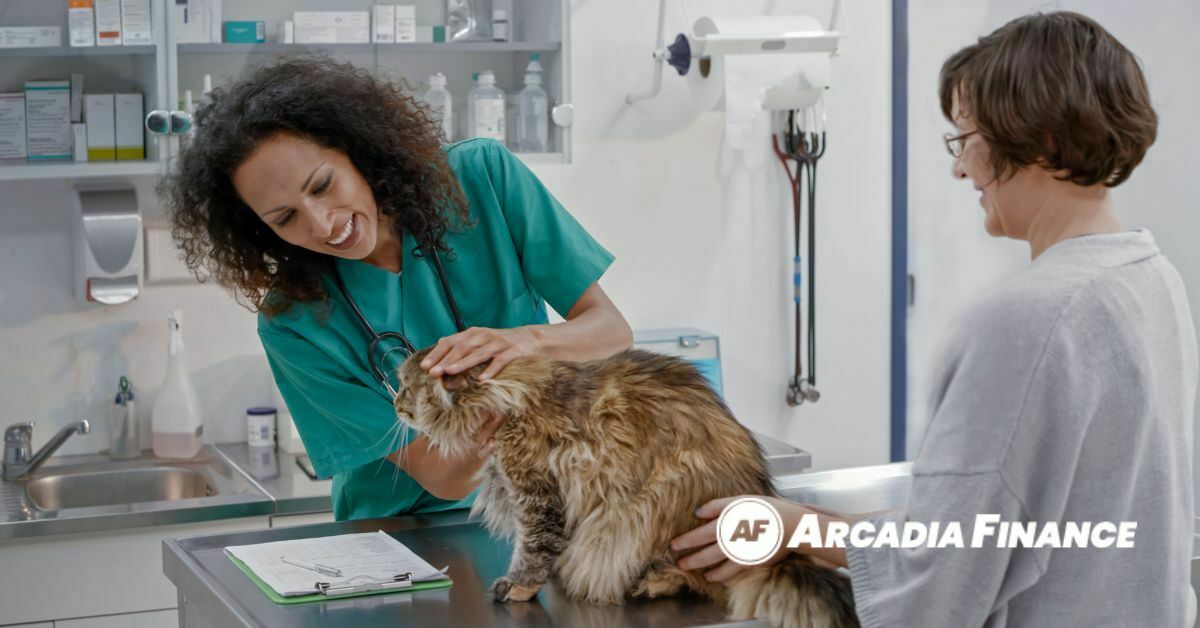 Veterinarian Salary South Africa Arcadia Finance